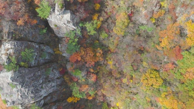 Colorful autumn trees and rocky mountains
