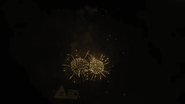 Fireworks lighting up the night sky