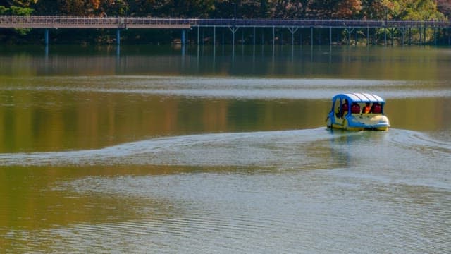 Pedal boat with people riding on a serene lake on a sunny day