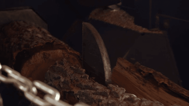 Log being cut by a saw in a machine