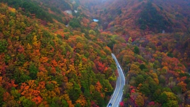 Road Crossing Lush and Colorful Autumn Mountains