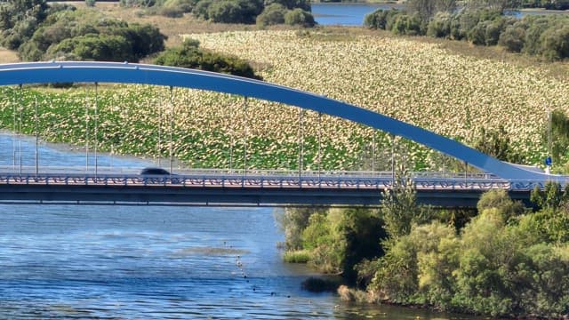Bridge over a river with cars passing