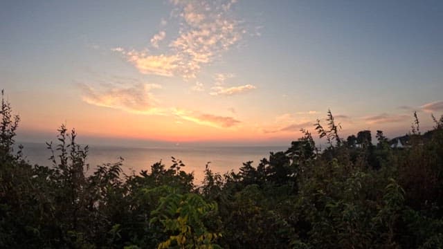 Sunset over the ocean with a view of surrounding foliage