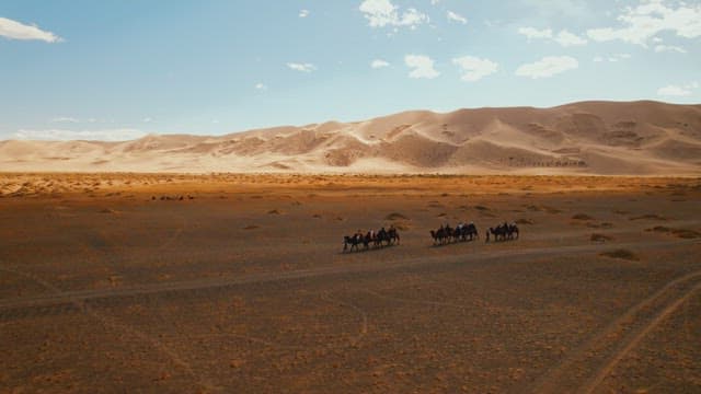 Caravan Journey on Camels Across the Desert