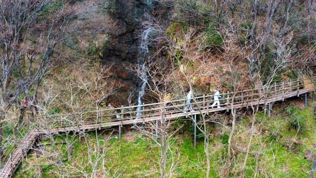 People walking along a wooden mountain path