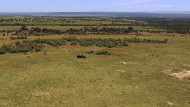 Safari Vehicle on a Green Grassy Meadow