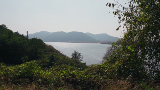 Riverside scenery in the forest