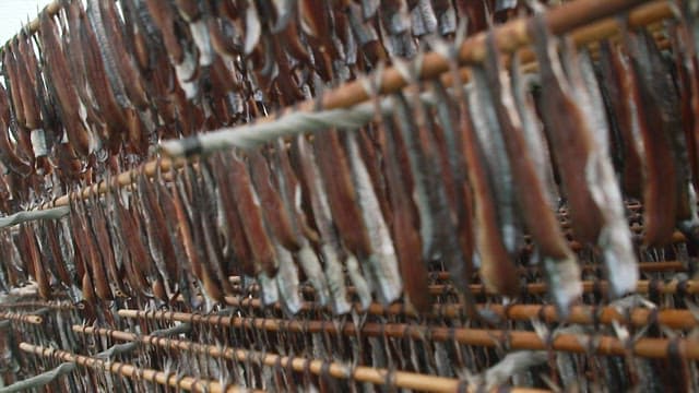 Fish drying on racks in an outdoor facility