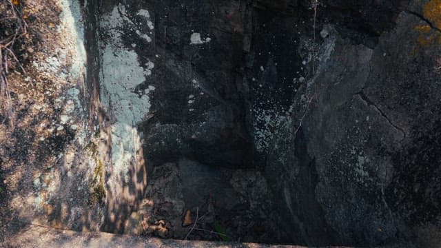 Spring waterfront surrounded by lush trees