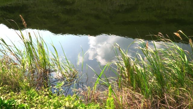 Reflection of clouds on a calm lake
