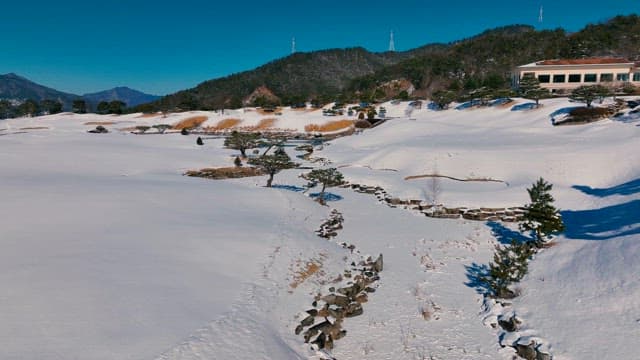 Serene Snowy Landscape with Trees and Pond