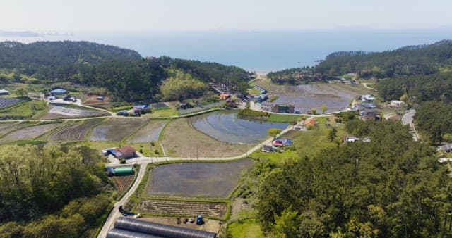 Rural village with rice paddies and fields