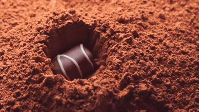 Chocolate falling onto cocoa powder in slow-motion