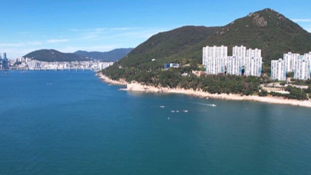View of a Coastal City with Tall Buildings