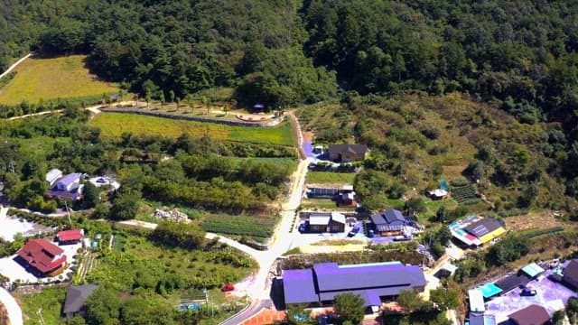 View of a village with dense forest