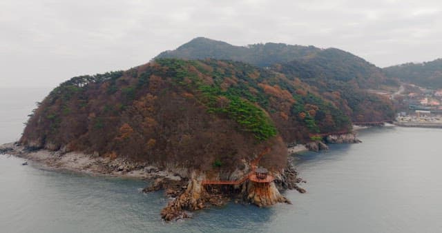 Seaside Cliffs and Lush Forest from Above