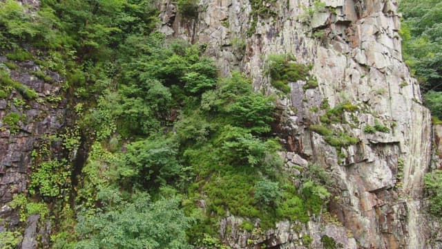 Lush green mountains with rocky cliffs
