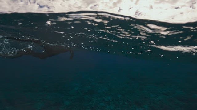 Person swimming in the sea wearing flippers