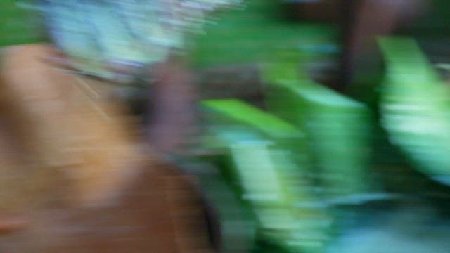 Making a dough by mixing coconut milk and manioc