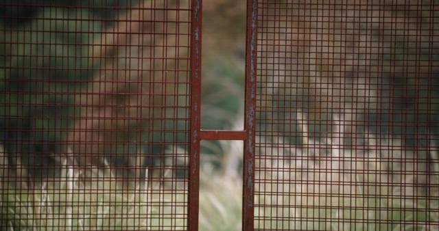 Desolate Nature Seen Through Rusty Fences