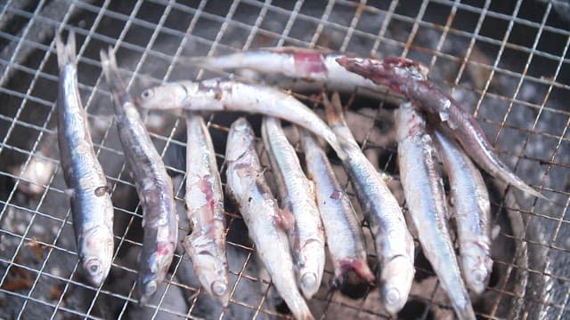 Anchovies being cooked on the grill