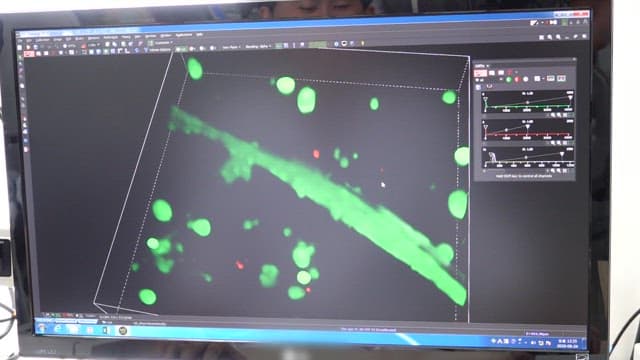 Viewing cell imaging data on a computer screen