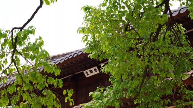 Leaves swaying in the wind in front of Seogeodang Hall of Deoksugung Palace