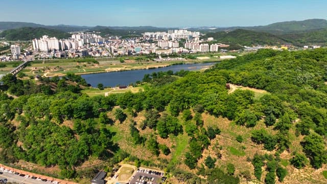Lush green forest with a city in the background