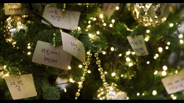 Decorated Tree with Lights and Hanging Notes