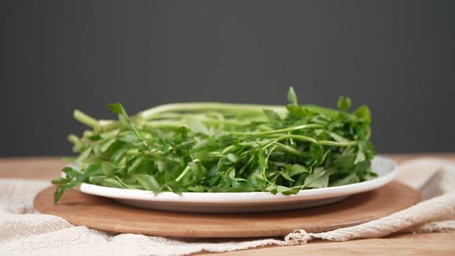 Fresh green water parsley on a white plate on a wooden board