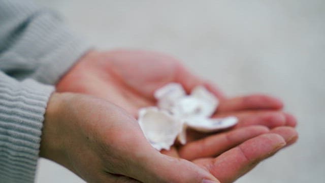 Person Rolling a White Seashell in His Hand