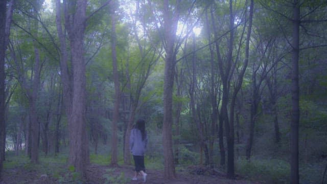 Woman walking in a serene forest with sunlight filtering through the trees
