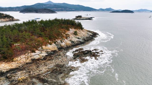 Rocky coastline with lush greenery