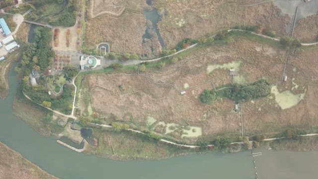 View of the wetlands, a treasure trove of lush ecosystems