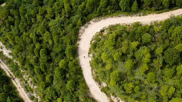 Serene and Lush Green Hills with Winding Path