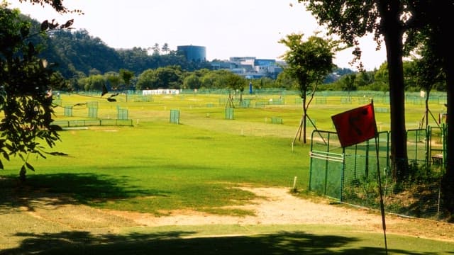 Sunny day at a serene golf driving range