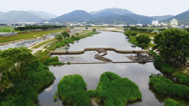 Scenic river with lush greenery