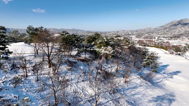 Snow-covered Landscape with Pines and Mountains