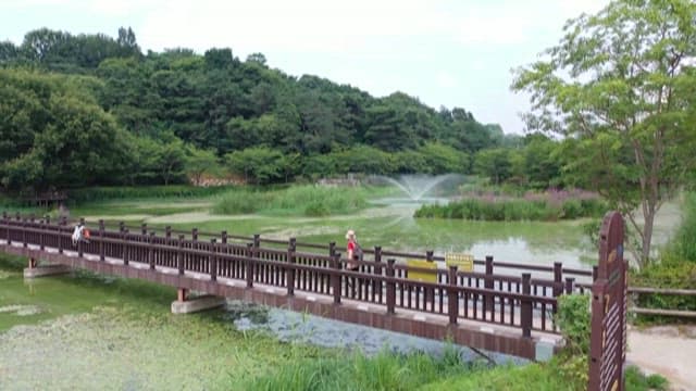 Green Park with Trees and Lakes