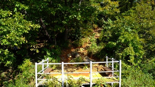 Observatory surrounded by lush greenery