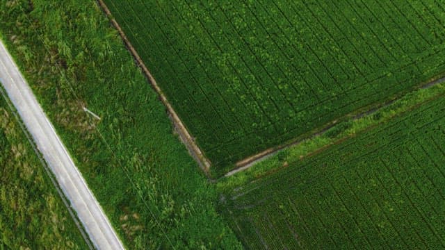 View of green fields and agricultural fields on a clear day