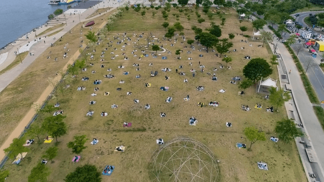 People in the Park for a Picnic
