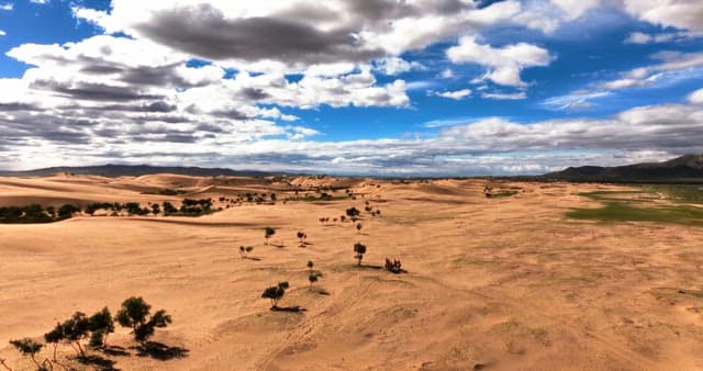 Camels and travelers in a vast desert