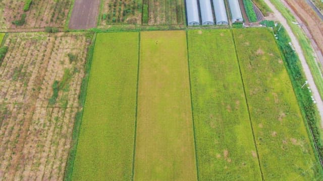 Expansive farmland with greenhouses and river