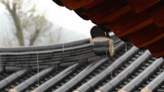 Rain falling on the cozy roof of a Hanok