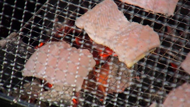Sea eel grilled on a barbecue grill