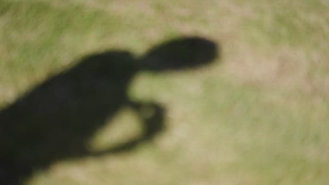 Shadow of a Person Taking a Picture on the Grass