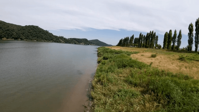 Serene riverside with lush greenery