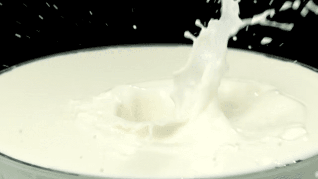 Red strawberries falling into white milk