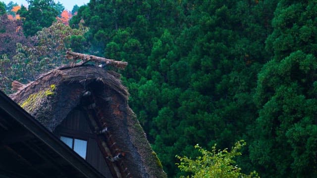 House with a Roof Covered with Straw and the Mountains